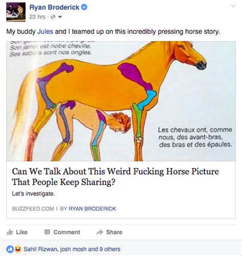 horsefuck me|Horse Fucking Me Porn Videos .